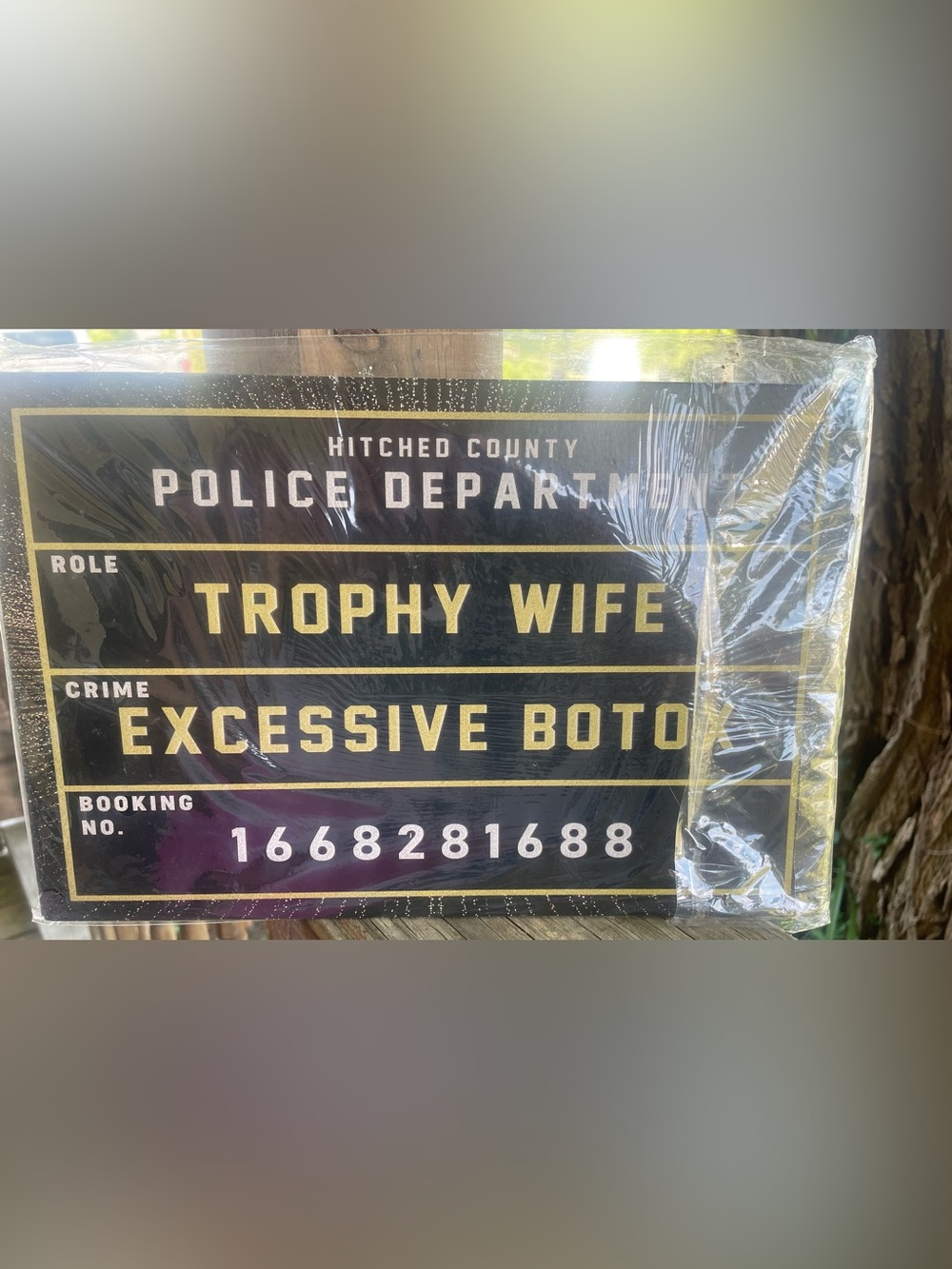 Trophy Wife Police Dept. Novelty Sign - Mug Shot Photo Booth
